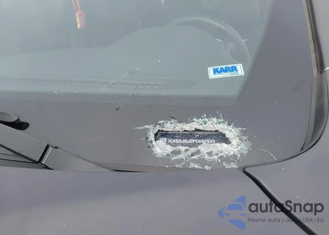 1C4SDJGJ2PC692935: 41029734