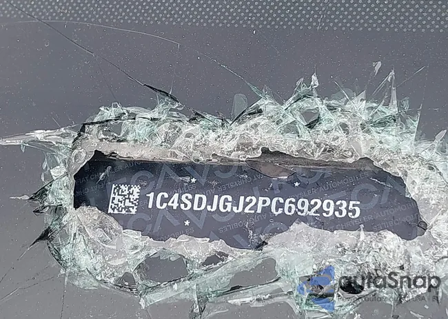 1C4SDJGJ2PC692935: 41029734