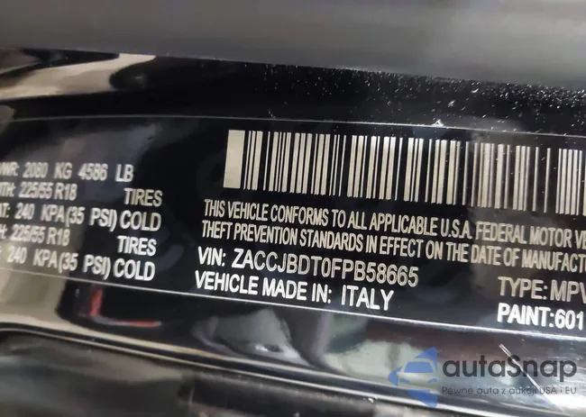 ZACCJBDT0FPB58665: 41033005