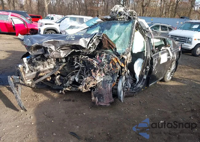 KNALC4J11H5065812: 41036491