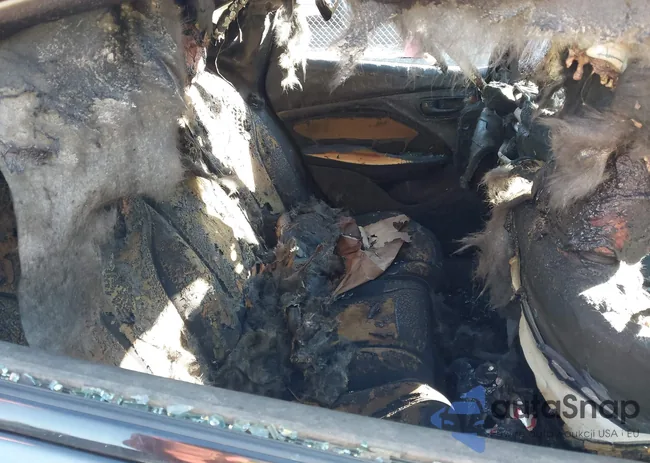 1C3CDFBH2DD256943: 41043580