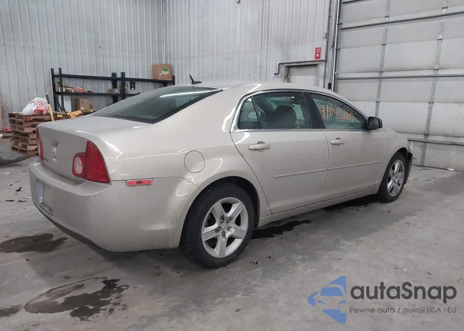 1G1ZB5EB3AF117524: 41043660