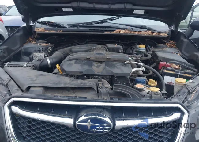 JF1GPAP6XG9254806: 41044113