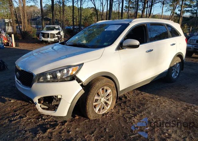 5XYPG4A34GG080918: 41050790