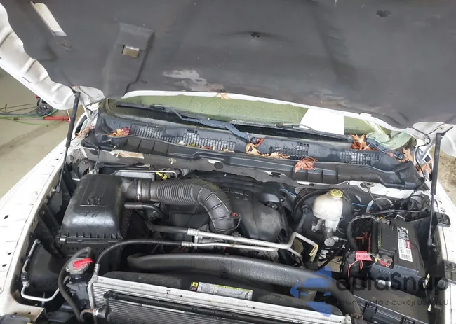 1D7RV1GT3BS600507: 41052261