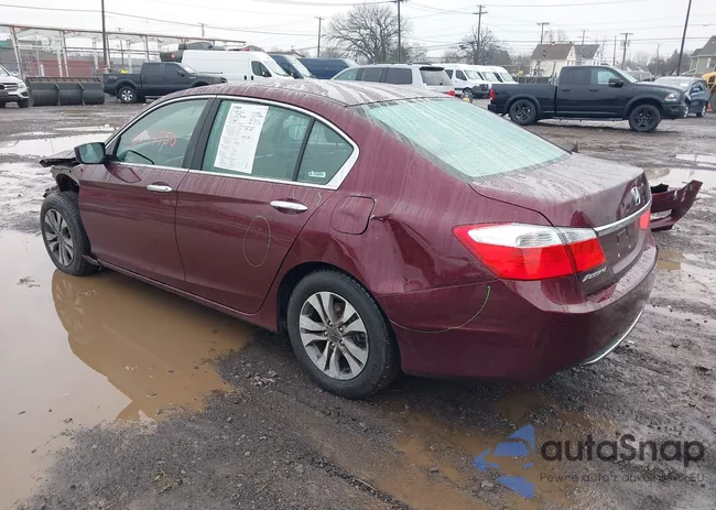 1HGCR2F39FA229488: 41054750