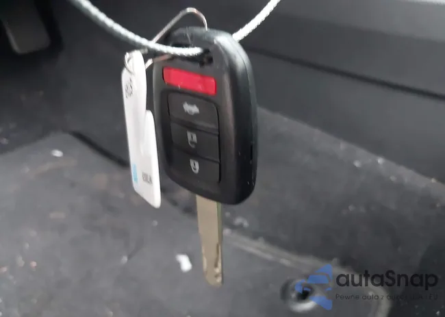 2HGFC2F58GH553924: 41055269