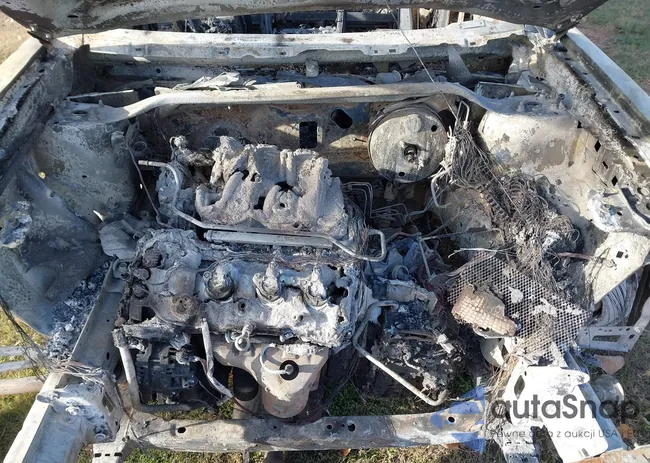 2FMGK5B85DBD03073: 41066771