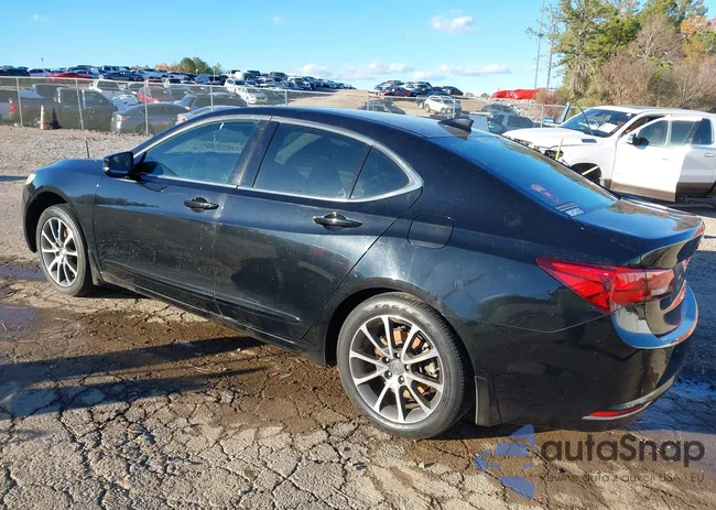 19UUB3F51FA010797: 41072411