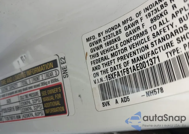 19XFA1F81AE001371: 41075689