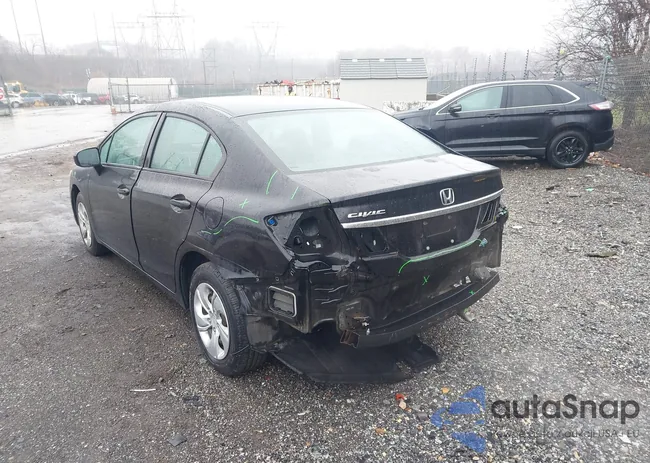 19XFB2F56FE228085: 41075772