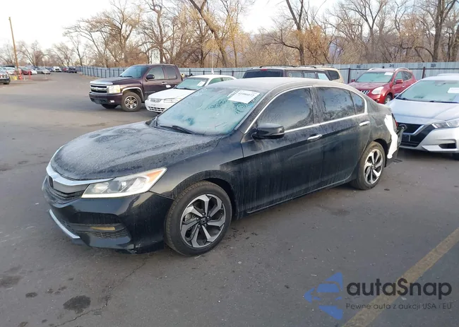 1HGCR3F88HA036690: 41086072