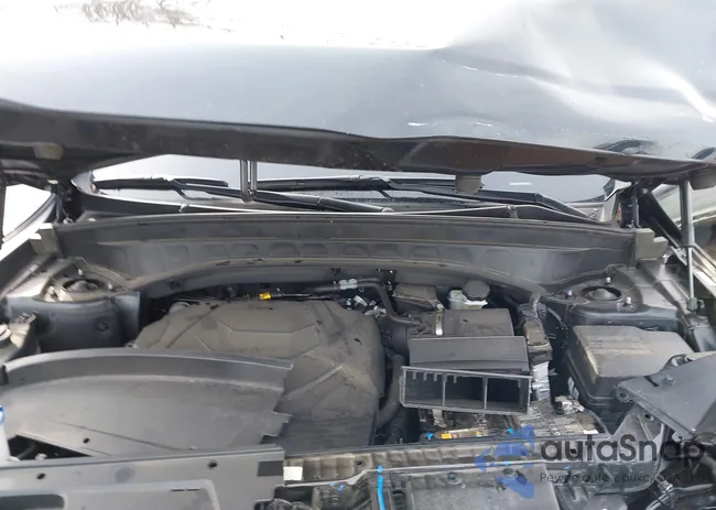 5XYP54GC9RG488606: 41091727