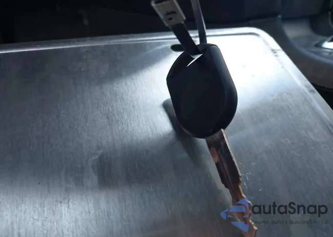 1ZVBP8AM0C5221509: 41101882