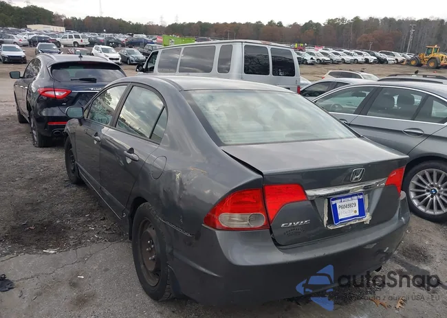 19XFA1F51BE049668: 41104559