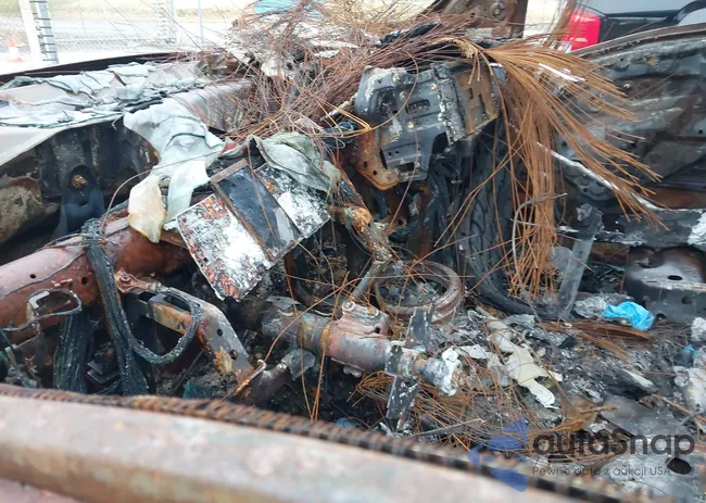 1N6BA1F43GN501996: 41105275