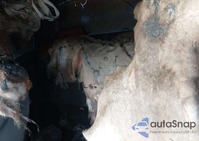 3GCPCREC1FG105521: 41106235