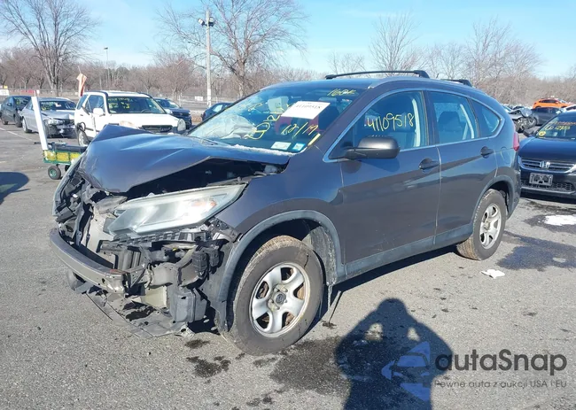 5J6RM4H33FL062141: 41109518