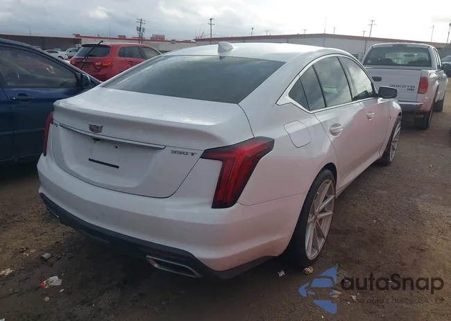 1G6DM5RK0M0114029: 41110242