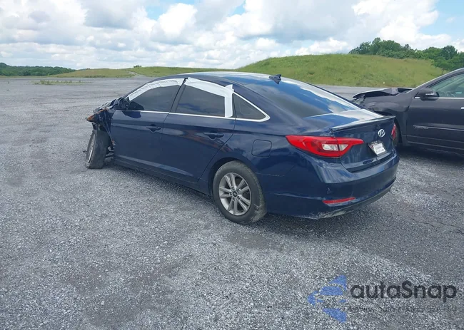 5NPE24AF2HH518989: 41116381