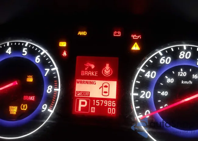 JNKBV61F57M800276: 41118435