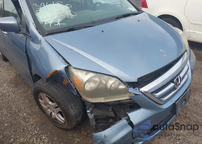 5FNRL38707B131555: 41119734