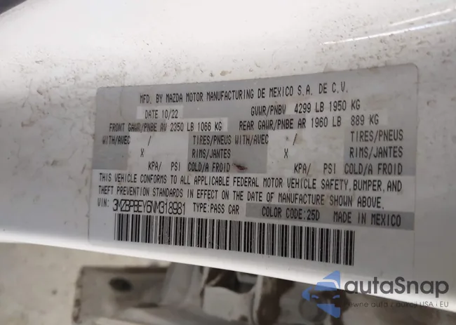 3MZBPBEY6NM318981: 41123267