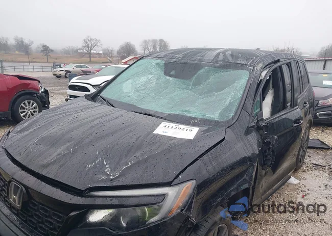 5FNYF7H29MB000120: 41129219