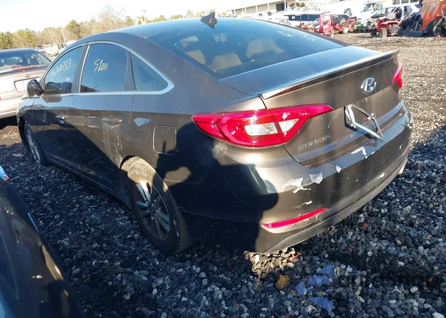 5NPE24AF3HH560474: 41131268