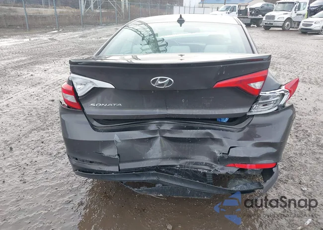 5NPE24AF5FH184549: 41132530