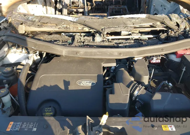 1FM5K7D88DGA67012: 41134404