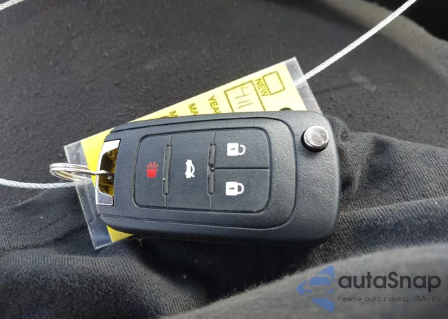 1G4PS5SKXD4224472: 41155488