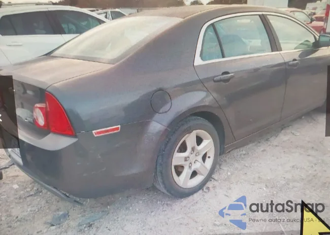 1G1ZA5E05AF280855: 41155051