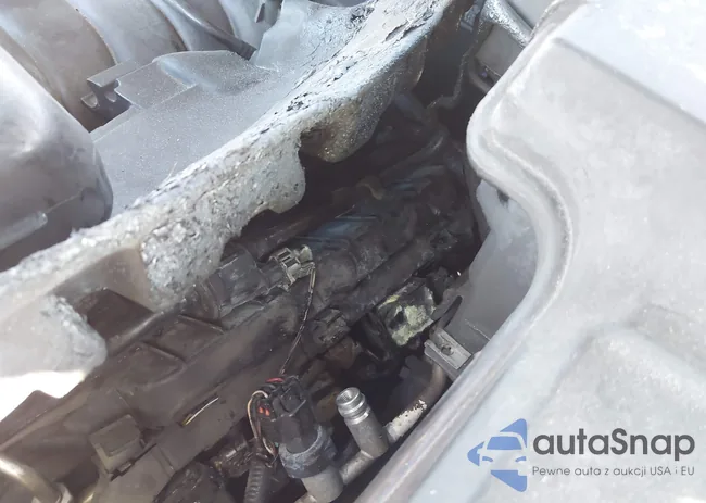 SALSF2D47DA774917: 41156657