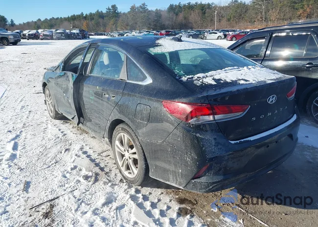 5NPE34AF8KH793383: 41160016