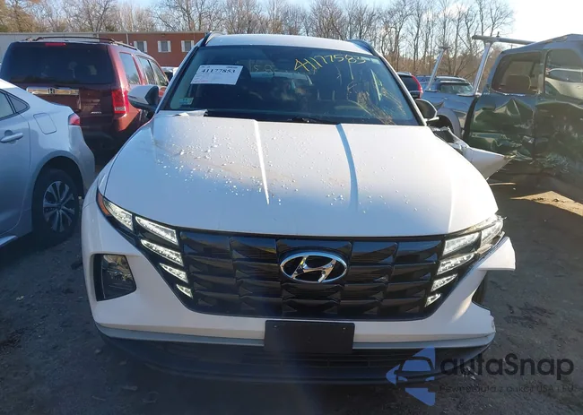 5NMJBCAEXPH186568: 41177853