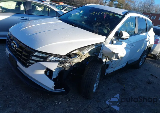 5NMJBCAEXPH186568: 41177853