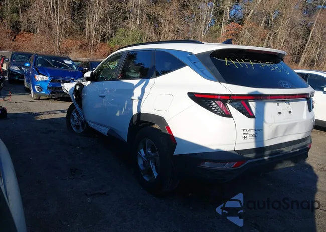 5NMJBCAEXPH186568: 41177853