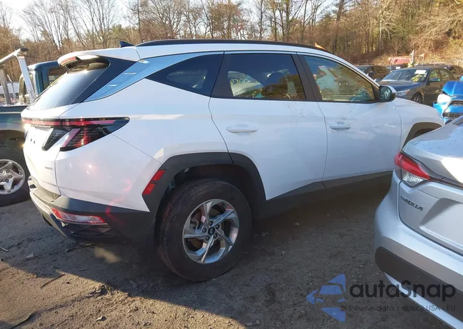 5NMJBCAEXPH186568: 41177853