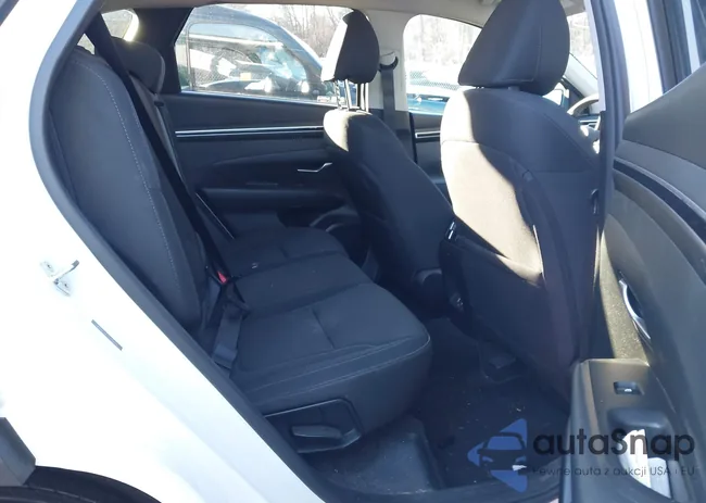 5NMJBCAEXPH186568: 41177853