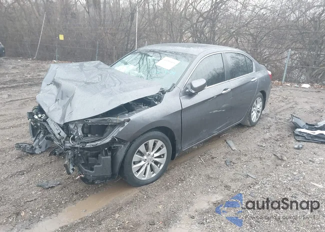 1HGCR2F82DA270991: 41184455