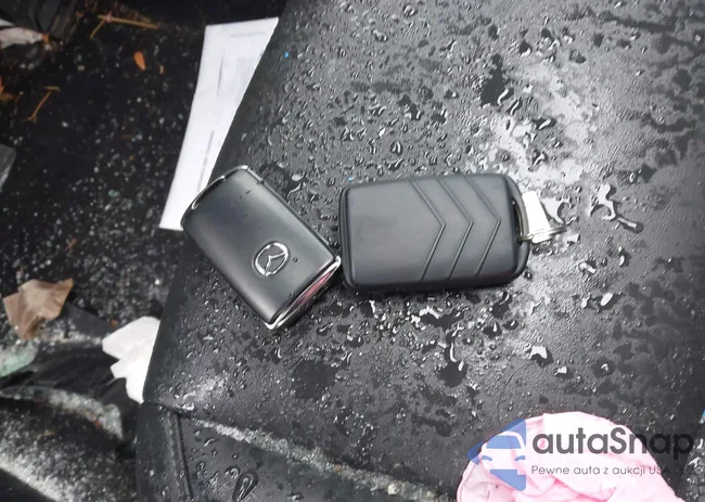 3MVDMACL8MM209876: 41185436