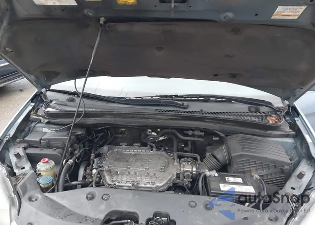 5FNRL38886B009341: 41200682