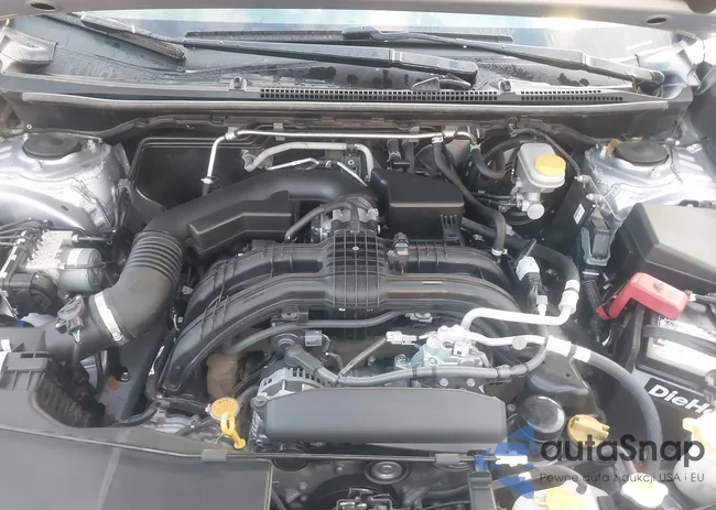 JF2GTAMCXKH313787: 41203341