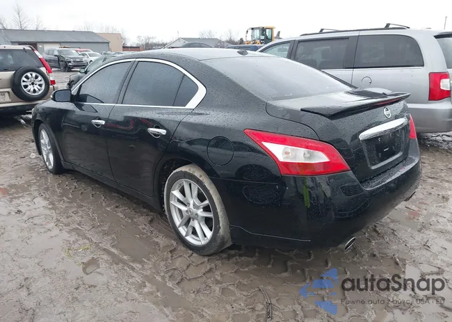 1N4AA5APXBC809619: 41208169