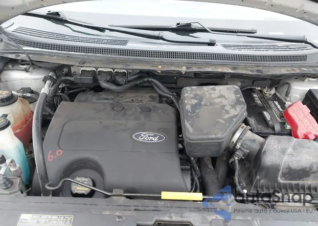 2FMDK4KC8DBA01097: 41212896