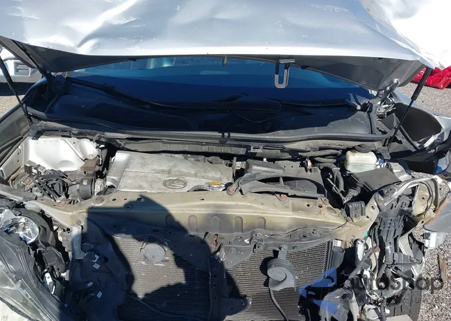 2T2BK1BA9DC174204: 41220889