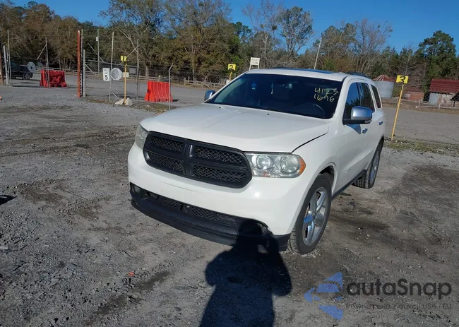 1D4RE5GG9BC695866: 41231696