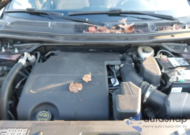 1FM5K8D88GGB57853: 41231744