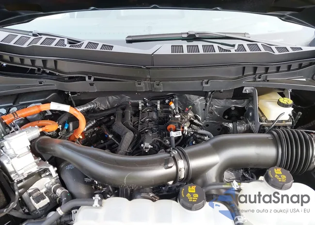 1FTFW7LD8RFB70326: 41237850